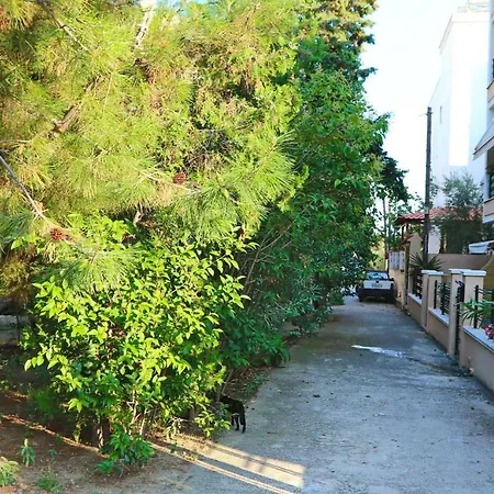 Apartment Elena 1